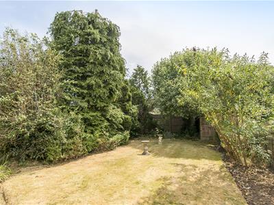 Picture 23
